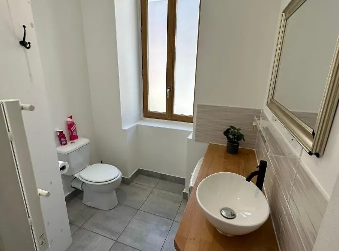 Jolie T2. Proche Centre Ville, Aquensis Et Thermes * バニエール・ド・ビゴール